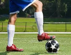 米体曝,多夫比克或,将重返赛场,足球即时比分,世界杯足球赛事即时比分,直播中文版